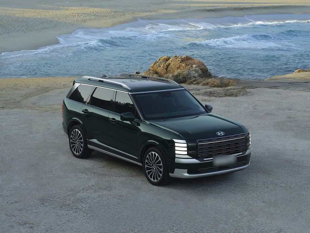 SUVs in our fleet